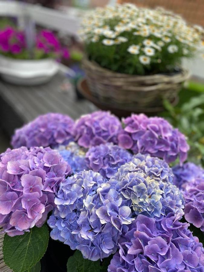 סכאחן Bed & Breakfast Moments מראה חיצוני תמונה